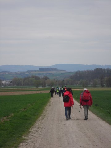 Pilgerweg Bogenberg 2016 20